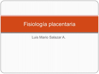 Luis Mario Salazar A. Fisiologíaplacentaria 