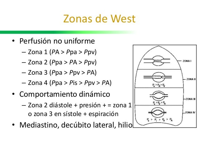 Moncler Knitted Polo K10939a00005m1732 035