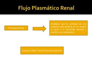 Establece que la cantidad de una
sustancia que penetra en un órgano
es igual a la secretada siempre y
cuando no se metabolice.
Principio de Fick
Sustancia Ideal = Ácido Para-amunopurato
 