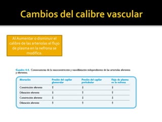 Al Aumentar o disminuir el
calibre de las arteriolas el flujo
de plasma en la nefrona se
modifica.
 