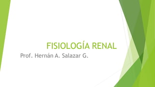 FISIOLOGÍA RENAL
Prof. Hernán A. Salazar G.
 