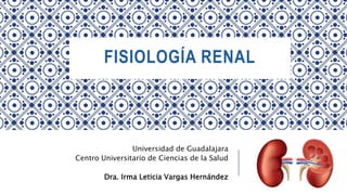 FISIOLOGÍA RENAL
Universidad de Guadalajara
Centro Universitario de Ciencias de la Salud
Dra. Irma Leticia Vargas Hernández
 