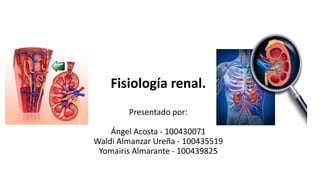 Fisiología renal.
Presentado por:
Ángel Acosta - 100430071
Waldi Almanzar Ureña - 100435519
Yomairis Almarante - 100439825
 