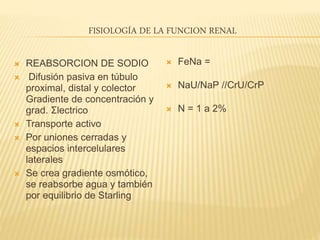 FISIOLOGÍA DE LA FUNCION RENAL
 REABSORCION DE SODIO
 Difusión pasiva en túbulo
proximal, distal y colector
Gradiente de concentración y
grad. Σlectrico
 Transporte activo
 Por uniones cerradas y
espacios intercelulares
laterales
 Se crea gradiente osmótico,
se reabsorbe agua y también
por equilibrio de Starling
 FeNa =
 NaU/NaP //CrU/CrP
 N = 1 a 2%
 