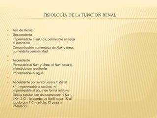FISIOLOGÍA DE LA FUNCION RENAL
 Asa de Henle:
 Descendente
 Impermeable a solutos, permeable al agua
al intersticio
 Concentración aumentada de Na+ y urea,
aumenta la osmolaridad

 Ascendente
 Permeable al Na+ y Urea, el Na+ pasa el
intersticio por gradiente
 Impermeable al agua

 Ascendente porción gruesa y T. distal
 +/- Impermeable a solutos, +/-
impermeable al agua en forma relativa
 Célula tubular con un acarreador: 1 Na+,
1K+, 2 Cl-, la bomba de Na/K saca 1K al
túbulo con 1 Cl y el otro Cl pasa al
intersticio
 