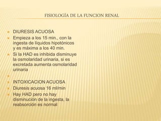 FISIOLOGÍA DE LA FUNCION RENAL
 DIURESIS ACUOSA
 Empieza a los 15 min., con la
ingesta de líquidos hipotónicos
y es máxima a los 40 min.
 Si la HAD es inhibida disminuye
la osmolaridad urinaria, si es
excretada aumenta osmolaridad
urinaria

 INTOXICACION ACUOSA
 Diuresis acuosa 16 ml/min
 Hay HAD pero no hay
disminución de la ingesta, la
reabsorción es normal
 