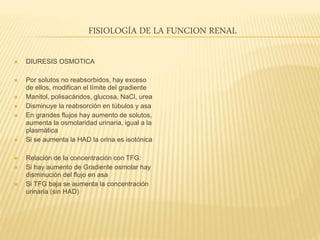FISIOLOGÍA DE LA FUNCION RENAL
 DIURESIS OSMOTICA
 Por solutos no reabsorbidos, hay exceso
de ellos, modifican el límite del gradiente
 Manitol, polisacáridos, glucosa, NaCl, urea
 Disminuye la reabsorción en túbulos y asa
 En grandes flujos hay aumento de solutos,
aumenta la osmolaridad urinaria, igual a la
plasmática
 Si se aumenta la HAD la orina es isotónica
 Relación de la concentración con TFG:
 Si hay aumento de Gradiente osmolar hay
disminución del flujo en asa
 Si TFG baja se aumenta la concentración
urinaria (sin HAD)
 