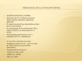 FISIOLOGÍA DE LA FUNCION RENAL
 ACIDIFICACION DE LA ORINA
 Secreción de H* en túbulos proximal,
distal, túbulos colectores, glándulas
gástricas
 En túbulo proximal hay intercambio de Na+
por H+ por bombas
 H+ proveniente de la combinación C02 y
H20 en H2C03 y su disociación H+ y
HC03-
 Hay bombas de protones en cel. I,
necesitan ATP, H+, aldosterona

 H+ en orina, secreción de acido
 Gradiente máximo de H+ a pH 4.5 (más
de 1000 veces la concentración
plasmática)
 Amortiguadores de fija H+:
 -HC03 con C02 y H20
 -HP04= en H2P04
 -NH3 en NH4
 