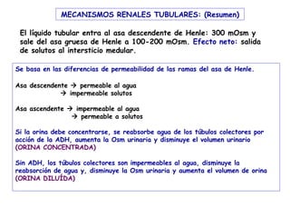 MECANISMOS RENALES TUBULARES: (Resumen)

 El líquido tubular entra al asa descendente de Henle: 300 mOsm y
 sale del asa gruesa de Henle a 100-200 mOsm. Efecto neto: salida
 de solutos al intersticio medular.

Se basa en las diferencias de permeabilidad de las ramas del asa de Henle.

Asa descendente  permeable al agua
              impermeable solutos

Asa ascendente  impermeable al agua
                 permeable a solutos

Si la orina debe concentrarse, se reabsorbe agua de los túbulos colectores por
acción de la ADH, aumenta la Osm urinaria y disminuye el volumen urinario
(ORINA CONCENTRADA)

Sin ADH, los túbulos colectores son impermeables al agua, disminuye la
reabsorción de agua y, disminuye la Osm urinaria y aumenta el volumen de orina
(ORINA DILUÍDA)
 