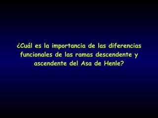 ¿Cuál es la importancia de las diferencias
 funcionales de las ramas descendente y
      ascendente del Asa de Henle?
 