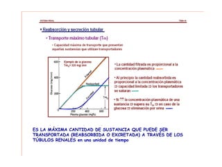 ES LA MÁXIMA CANTIDAD DE SUSTANCIA QUE PUEDE SER
TRANSPORTADA (REABSORBIDA O EXCRETADA) A TRAVÉS DE LOS
TÚBULOS RENALES en una unidad de tiempo
 