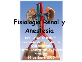 Fisiología Renal y Anestesia Dra. Alina Castillo P. Residente de 1er. Año de Anestesiología Hospital Central de las Fuerzas Armadas 14 de Enero 2010 