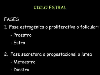 Proestro Fisiología reproductiva de los porcinos en colombia | PPT