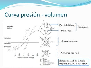 Fisiología respiratoria 3 | PPTX
