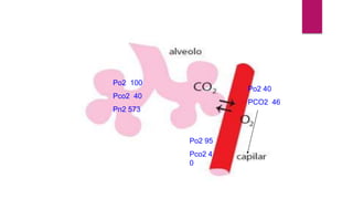 Po2 Pn2 Pco2 Fisiología respiratoria Ninfa.pptx