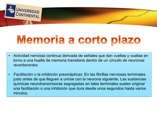 LOGO
• Actividad nerviosa continua derivada de señales que dan vueltas y vueltas en
torno a una huella de memoria transitoria dentro de un circuito de neuronas
reverberantes.
• Facilitación o la inhibición presinápticas: En las fibrillas nerviosas terminales
justo antes de que lleguen a unirse con la neurona siguiente. Las sustancias
químicas neurotransmisoras segregadas en tales terminales suelen originar
una facilitación o una inhibición que dura desde unos segundos hasta varios
minutos.
 