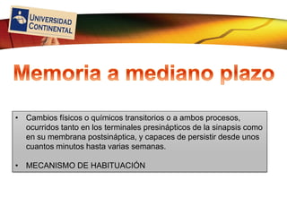 LOGO
• Cambios físicos o químicos transitorios o a ambos procesos,
ocurridos tanto en los terminales presinápticos de la sinapsis como
en su membrana postsináptica, y capaces de persistir desde unos
cuantos minutos hasta varias semanas.
• MECANISMO DE HABITUACIÓN
 
