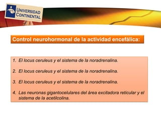 LOGO
1. El locus ceruleus y el sistema de la noradrenalina.
2. El locus ceruleus y el sistema de la noradrenalina.
3. El locus ceruleus y el sistema de la noradrenalina.
4. Las neuronas gigantocelulares del área excitadora reticular y el
sistema de la acetilcolina.
Control neurohormonal de la actividad encefálica:
 