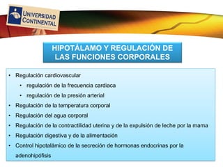 LOGO
• Regulación cardiovascular
• regulación de la frecuencia cardiaca
• regulación de la presión arterial
• Regulación de la temperatura corporal
• Regulación del agua corporal
• Regulación de la contractilidad uterina y de la expulsión de leche por la mama
• Regulación digestiva y de la alimentación
• Control hipotalámico de la secreción de hormonas endocrinas por la
adenohipófisis
HIPOTÁLAMO Y REGULACIÓN DE
LAS FUNCIONES CORPORALES
 