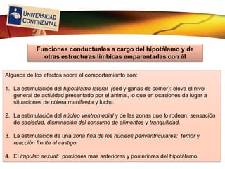 LOGO
Algunos de los efectos sobre el comportamiento son:
1. La estimulación del hipotálamo lateral (sed y ganas de comer): eleva el nivel
general de actividad presentado por el animal, lo que en ocasiones da lugar a
situaciones de cólera manifiesta y lucha.
2. La estimulación del núcleo ventromedial y de las zonas que lo rodean: sensación
de saciedad, disminución del consumo de alimentos y tranquilidad.
3. La estimulacion de una zona fina de los núcleos periventriculares: temor y
reacción frente al castigo.
4. El impulso sexual: porciones mas anteriores y posteriores del hipotálamo.
Funciones conductuales a cargo del hipotálamo y de
otras estructuras límbicas emparentadas con él
 