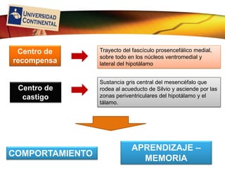 LOGO
Trayecto del fascículo prosencefálico medial,
sobre todo en los núcleos ventromedial y
lateral del hipotálamo
Sustancia gris central del mesencéfalo que
rodea al acueducto de Silvio y asciende por las
zonas periventriculares del hipotálamo y el
tálamo.
Centro de
recompensa
Centro de
castigo
COMPORTAMIENTO
APRENDIZAJE –
MEMORIA
 