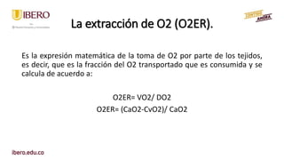 Fisiología, transporte de oxígeno y evaluación del intercambio gaseoso ...
