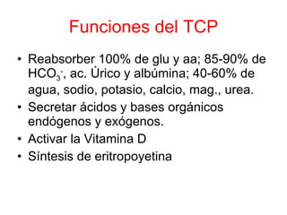 Funciones del TCP Reabsorber 100% de glu y aa; 85-90% de HCO 3 - , ac. Úrico y albúmina; 40-60% de agua, sodio, potasio, calcio, mag., urea. Secretar ácidos y bases orgánicos endógenos y exógenos. Activar la Vitamina D Síntesis de eritropoyetina 