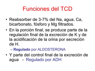 Funciones del TCD Reabsorber de 3-7% del Na, agua, Ca, bicarbonato, fósforo y Mg filtrados. En la porción final, se produce parte de la regulación final de la excreción de K y de la acidificación de la orina por secreción de H. Regulado  por ALDOSTERONA Y parte del control final de la excreción de agua  -  Regulado por ADH 