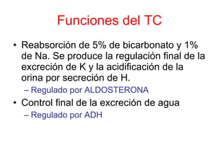 Funciones del TC Reabsorción de 5% de bicarbonato y 1% de Na. Se produce la regulación final de la excreción de K y la acidificación de la orina por secreción de H. Regulado por ALDOSTERONA Control final de la excreción de agua Regulado por ADH 