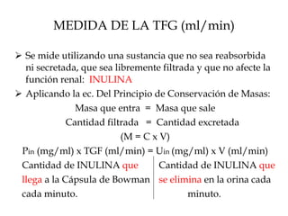 MEDIDA DE LA TFG (ml/min) Se mide utilizando una sustancia que no sea reabsorbida ni secretada, que sea libremente filtrada y que no afecte la función renal:  INULINA Aplicando la ec. Del Principio de Conservación de Masas: Masa que entra  =  Masa que sale Cantidad filtrada  =  Cantidad excretada (M = C x V) P in  (mg/ml) x TGF (ml/min) = U in  (mg/ml) x V (ml/min) Cantidad de INULINA  que  Cantidad de INULINA  que llega  a la Cápsula de Bowman se elimina  en la orina cada cada minuto.   minuto. 