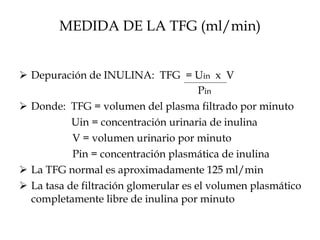 MEDIDA DE LA TFG (ml/min) Depuración de INULINA:  TFG  = U in   x  V   P in Donde:  TFG = volumen del plasma filtrado por minuto   Uin = concentración urinaria de inulina   V = volumen urinario por minuto   Pin = concentración plasmática de inulina La TFG normal es aproximadamente 125 ml/min La tasa de filtración glomerular es el volumen plasmático completamente libre de inulina por minuto 