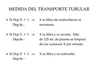 MEDIDA DEL TRANSPORTE TUBULAR Si Dep X  =  1     X se filtra sin reabsorberse ni    Dep In   secretarse. Si Dep X  >  1     X se filtra y se secreta.  Más    Dep In   de 125 ml. de plasma se limpian    de esa sustancia X por minuto. Si Dep X  <  1     X se filtra y se reabsorbe.   Dep In 