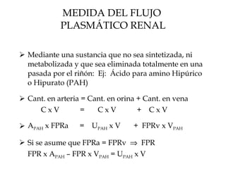 MEDIDA DEL FLUJO  PLASMÁTICO RENAL Mediante una sustancia que no sea sintetizada, ni metabolizada y que sea eliminada totalmente en una pasada por el riñón:  Ej:  Ácido para amino Hipúrico o Hipurato (PAH) Cant. en arteria = Cant. en orina + Cant. en vena   C x V  =  C x V  +  C x V A PAH  x FPRa  =  U PAH  x V  +  FPRv x V PAH   Si se asume que FPRa = FPRv     FPR FPR x A PAH  – FPR x V PAH  = U PAH  x V 