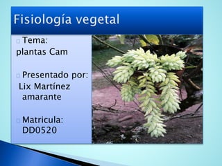 Tema: 
plantas Cam 
Presentado por: 
Lix Martínez 
amarante 
Matricula: 
DD0520 
 