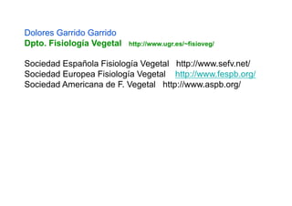 Dolores Garrido Garrido
Dpto. Fisiología Vegetal   http://www.ugr.es/~fisioveg/


Sociedad Española Fisiología Vegetal http://www.sefv.net/
Sociedad Europea Fisiología Vegetal http://www.fespb.org/
Sociedad Americana de F. Vegetal http://www.aspb.org/
 
