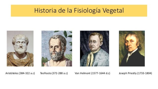 Fisiología vegetal (1) expo