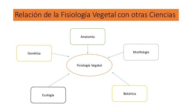 Fisiología vegetal (1) expo
