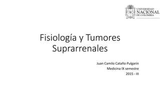 Fisiología y Tumores
Suprarrenales
Juan Camilo Cataño Pulgarín
Medicina IX semestre
2015 - III
 