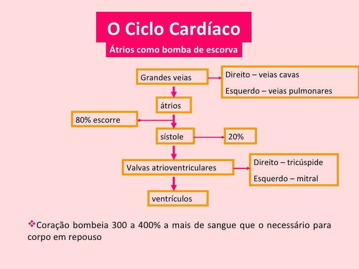 Fisiologia Cardiaca