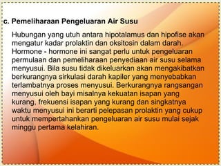 c. Pemeliharaan Pengeluaran Air Susu Hubungan yang utuh antara hipotalamus dan hipofise akan  mengatur kadar prolaktin dan oksitosin dalam darah.  Hormone - hormone ini sangat perlu untuk pengeluaran  permulaan dan pemeliharaan penyediaan air susu selama  menyusui. Bila susu tidak dikeluarkan akan mengakibatkan  berkurangnya sirkulasi darah kapiler yang menyebabkan  terlambatnya proses menyusui. Berkurangnya rangsangan  menyusui oleh bayi misalnya kekuatan isapan yang  kurang, frekuensi isapan yang kurang dan singkatnya  waktu menyusui ini berarti pelepasan prolaktin yang cukup  untuk mempertahankan pengeluaran air susu mulai sejak  minggu pertama kelahiran. 