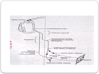 Sensonik Fisiologi 2. Sistem Sensorik (17112014).pptx