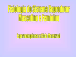 Fisiologia do Sistema Reprodutor  Masculino e Feminino  Espermatogénese e Ciclo Menstrual 