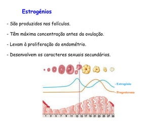 - São produzidos nos folículos. - Têm máxima concentração antes da ovulação. Levam à proliferação do endométrio. Desenvolvem os caracteres sexuais secundários. Estrogénios - Estrogénio - Progesterona 