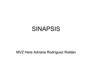 SINAPSIS MVZ Here Adriana Rodríguez Roldán 