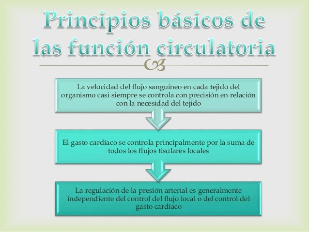 Imagen relacionada