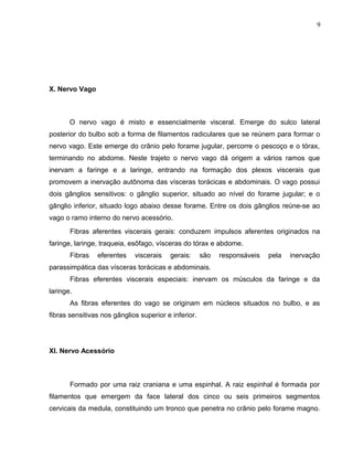 9 
X. Nervo Vago 
O nervo vago é misto e essencialmente visceral. Emerge do sulco lateral 
posterior do bulbo sob a forma de filamentos radiculares que se reúnem para formar o 
nervo vago. Este emerge do crânio pelo forame jugular, percorre o pescoço e o tórax, 
terminando no abdome. Neste trajeto o nervo vago dá origem a vários ramos que 
inervam a faringe e a laringe, entrando na formação dos plexos viscerais que 
promovem a inervação autônoma das vísceras torácicas e abdominais. O vago possui 
dois gânglios sensitivos: o gânglio superior, situado ao nível do forame jugular; e o 
gânglio inferior, situado logo abaixo desse forame. Entre os dois gânglios reúne-se ao 
vago o ramo interno do nervo acessório. 
Fibras aferentes viscerais gerais: conduzem impulsos aferentes originados na 
faringe, laringe, traqueia, esôfago, vísceras do tórax e abdome. 
Fibras eferentes viscerais gerais: são responsáveis pela inervação 
parassimpática das vísceras torácicas e abdominais. 
Fibras eferentes viscerais especiais: inervam os músculos da faringe e da 
laringe. 
As fibras eferentes do vago se originam em núcleos situados no bulbo, e as 
fibras sensitivas nos gânglios superior e inferior. 
XI. Nervo Acessório 
Formado por uma raiz craniana e uma espinhal. A raiz espinhal é formada por 
filamentos que emergem da face lateral dos cinco ou seis primeiros segmentos 
cervicais da medula, constituindo um tronco que penetra no crânio pelo forame magno. 
 