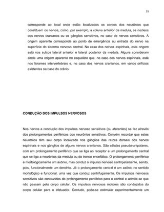 18 
corresponde ao local onde estão localizados os corpos dos neurônios que 
constituem os nervos, como, por exemplo, a coluna anterior da medula, os núcleos 
dos nervos cranianos ou os gânglios sensitivos, no caso de nervos sensitivos. A 
origem aparente corresponde ao ponto de emergência ou entrada do nervo na 
superfície do sistema nervoso central. No caso dos nervos espinhais, esta origem 
está nos sulcos lateral anterior e lateral posterior da medula. Alguns consideram 
ainda uma origem aparente no esqueleto que, no caso dos nervos espinhais, está 
nos forames intervertebrais e, no caso dos nervos cranianos, em vários orifícios 
existentes na base do crânio. 
CONDUÇÃO DOS IMPULSOS NERVOSOS 
Nos nervos a condução dos impulsos nervoso sensitivos (ou aferentes) se faz através 
dos prolongamentos periféricos dos neurônios sensitivos. Convém recordar que estes 
neurônios têm seu corpo localizado nos gânglios das raízes dorsais dos nervos 
espinhais e nos gânglios de alguns nervos cranianos. São células pseudo-unipolares, 
com um prolongamento periférico que se liga ao receptor e um prolongamento central 
que se liga a neurônios da medula ou do tronco encefálico. O prolongamento periférico 
é morfologicamente um axônio, mas conduz o impulso nervoso centripetamente, sendo, 
pois, funcionalmente um dendrito. Já o prolongamento central é um axônio no sentido 
morfológico e funcional, uma vez que conduz centrifugamente. Os impulsos nervosos 
sensitivos são conduzidos do prolongamento periférico para o central e admite-se que 
não passam pelo corpo celular. Os impulsos nervosos motores são conduzidos do 
corpo celular para o efetuador. Contudo, pode-se estimular experimentalmente um 
 