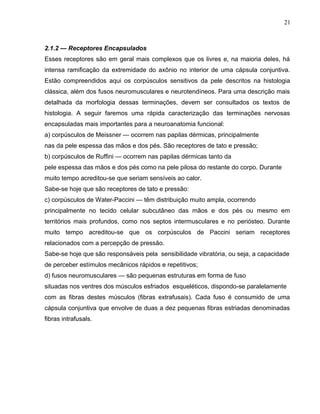 21 
2.1.2 — Receptores Encapsulados 
Esses receptores são em geral mais complexos que os livres e, na maioria deles, há 
intensa ramificação da extremidade do axônio no interior de uma cápsula conjuntiva. 
Estão compreendidos aqui os corpúsculos sensitivos da pele descritos na histologia 
clássica, além dos fusos neuromusculares e neurotendíneos. Para uma descrição mais 
detalhada da morfologia dessas terminações, devem ser consultados os textos de 
histologia. A seguir faremos uma rápida caracterização das terminações nervosas 
encapsuladas mais importantes para a neuroanatomia funcional: 
a) corpúsculos de Meissner — ocorrem nas papilas dérmicas, principalmente 
nas da pele espessa das mãos e dos pés. São receptores de tato e pressão; 
b) corpúsculos de Ruffini — ocorrem nas papilas dérmicas tanto da 
pele espessa das mãos e dos pés como na pele pilosa do restante do corpo. Durante 
muito tempo acreditou-se que seriam sensíveis ao calor. 
Sabe-se hoje que são receptores de tato e pressão: 
c) corpúsculos de Water-Paccini — têm distribuição muito ampla, ocorrendo 
principalmente no tecido celular subcutâneo das mãos e dos pés ou mesmo em 
territórios mais profundos, como nos septos intermusculares e no periósteo. Durante 
muito tempo acreditou-se que os corpúsculos de Paccini seriam receptores 
relacionados com a percepção de pressão. 
Sabe-se hoje que são responsáveis pela sensibilidade vibratória, ou seja, a capacidade 
de perceber estímulos mecânicos rápidos e repetitivos; 
d) fusos neuromusculares — são pequenas estruturas em forma de fuso 
situadas nos ventres dos músculos esfriados esqueléticos, dispondo-se paralelamente 
com as fibras destes músculos (fibras extrafusais). Cada fuso é consumido de uma 
cápsula conjuntiva que envolve de duas a dez pequenas fibras estriadas denominadas 
fibras intrafusals. 
 