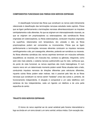 26 
COMPONENTES FUNCIONAIS DAS FIBRAS DOS NERVOS ESPINHAIS 
A classificação funcional das fibras que constituem os nervos está intimamente 
relacionada à classificação das terminações nervosas estudada neste capítulo. Fibras 
que se ligam perifericamente a terminações nervosas aferentesconduzem os impulsos 
centripetamente e são aferentes. As que se originam em interoceptoressão viscerais, as 
que se originam em proprioceptores ou exteroceptores. são somáticas.As fibras 
originadas em exteroceptores, ou fibras exteroceptivas, conduzem impulsos originados 
na superfície, relacionados com temperatura, dor, pressão e tato. as fibras 
proprioceptivas podem ser conscientes ou inconscientes. Fibras que se ligam 
perifericamente a terminações nervosas eferentes conduzem os impulsos nervosos 
centrifugamente e são, por coaseguinte, eferentes, podendo ser somáticos ou viscerais. 
As fibras eferentes somáticas dos nervos espinhais terminam em músculos esfriados 
esqueléticos; as viscerais, em músculos liso, cardíaco ou glândula, integrando, como 
será visto mais adiante, o sistema nervoso autônomoDo que foi visto, verifica-se que, 
do ponto de vista funcional, os nervos espinhais são muito heterogêneos. E num 
mesmo nervo em um determinado momento podem existir fibras situadas lado a lado, 
conduzindo impulsos nervosos de direções diferentes para estruturas diferentes, 
nquanto outras fibras podem estar inativas. Isto é possível pelo fato de as fibras 
nervosas que constituem os nervos serem "isoladas" umas das outras e, portanto, de 
funcionamento independente. A situação é comparável a um cabo telefônico com 
centenas de tios independentes, cada um ligando um telefone a de uma parte 
especifica do centro 
TRAJETO DOS NERVOS ESPINHAIS 
O tronco do nervo espinhal sai do canal vertebral pelo forame intervertebral e 
logo se divide em um ramo dorsal c um ramo ventral, ambos mistos. Com exceção dos 
 