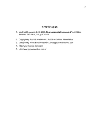 31 
REFERÊNCIAS 
1. MACHADO, Angelo, B. M. 2006. Neuroanatomia Funcional. 2ª ed. Editora 
Atheneu, São Paulo, SP , p.101-112. 
2. Copyright by Aula de Anatomia®.::.Todos os Direitos Reservados 
3. Designed by Jonas Edison Wecker.::.jonas@auladeanatomia.com 
4. http://www.manual merk.com 
5. http://www.gerardocristino.com.br 
